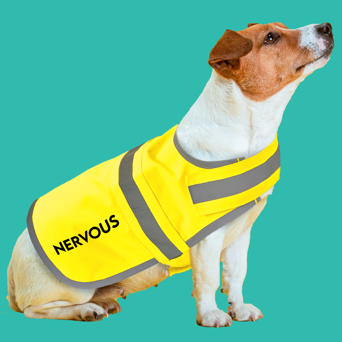 Personalised Name With Paw High Visibility Lightweight Coat