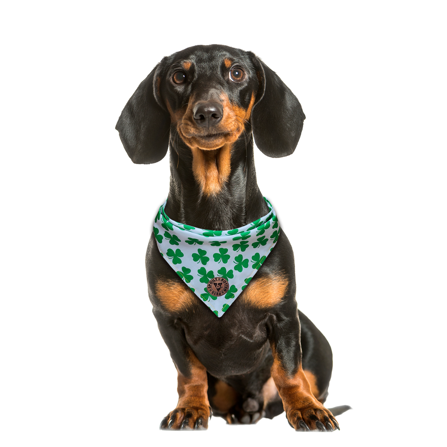 The Limerick - Shamrocks on White Tied Dog Bandana