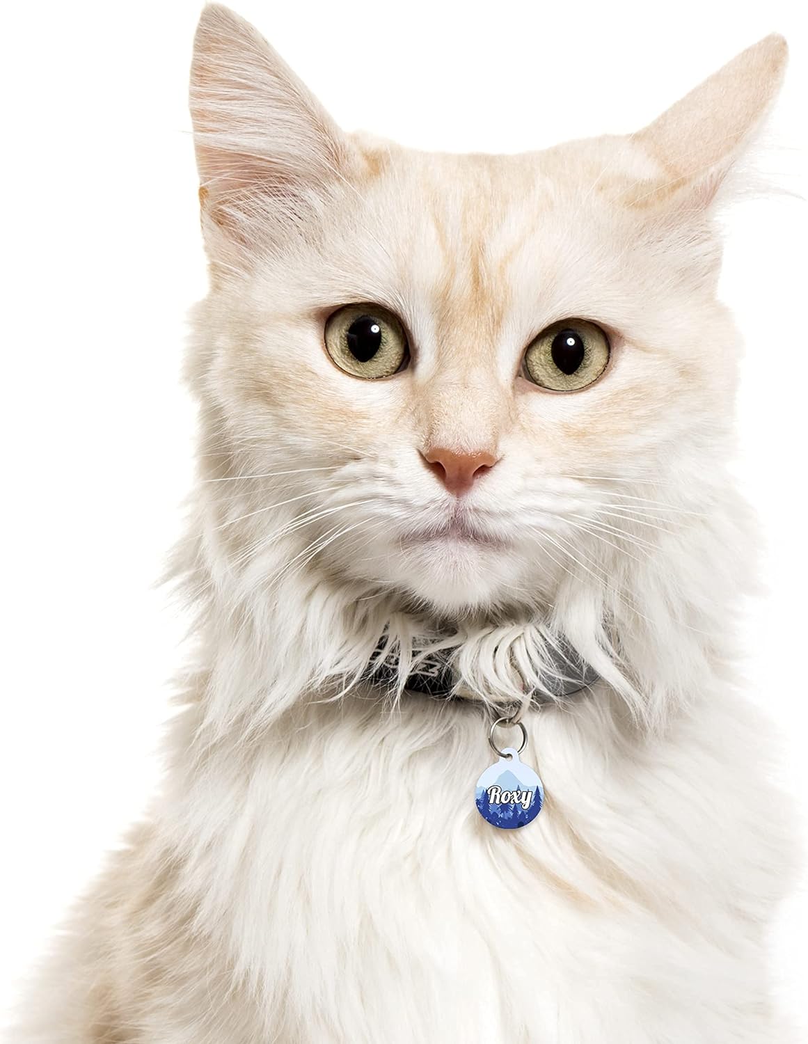 Mountain Blue Fir Forest - Pet ID Tag