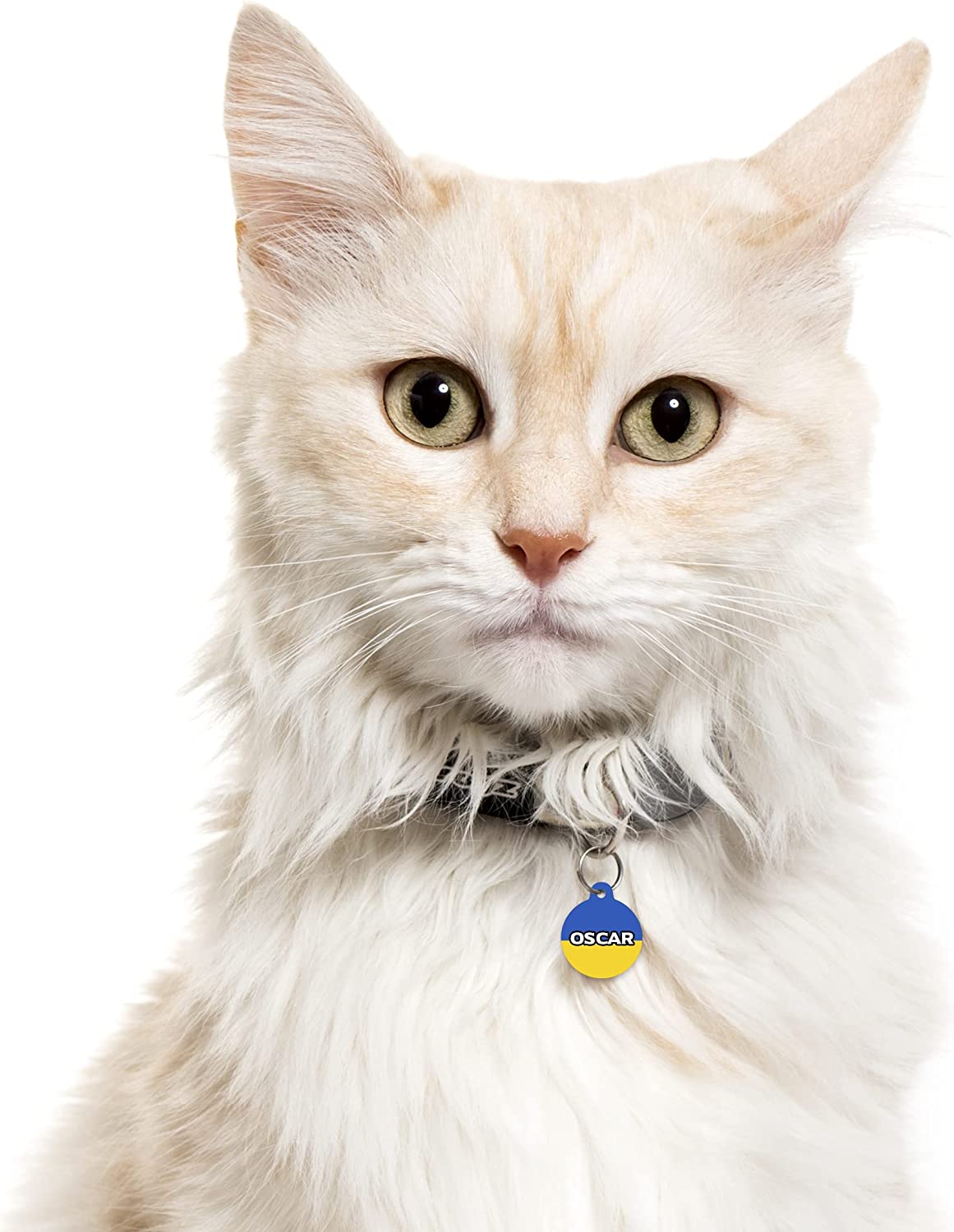 Ukraine Flag - Pet ID Tag