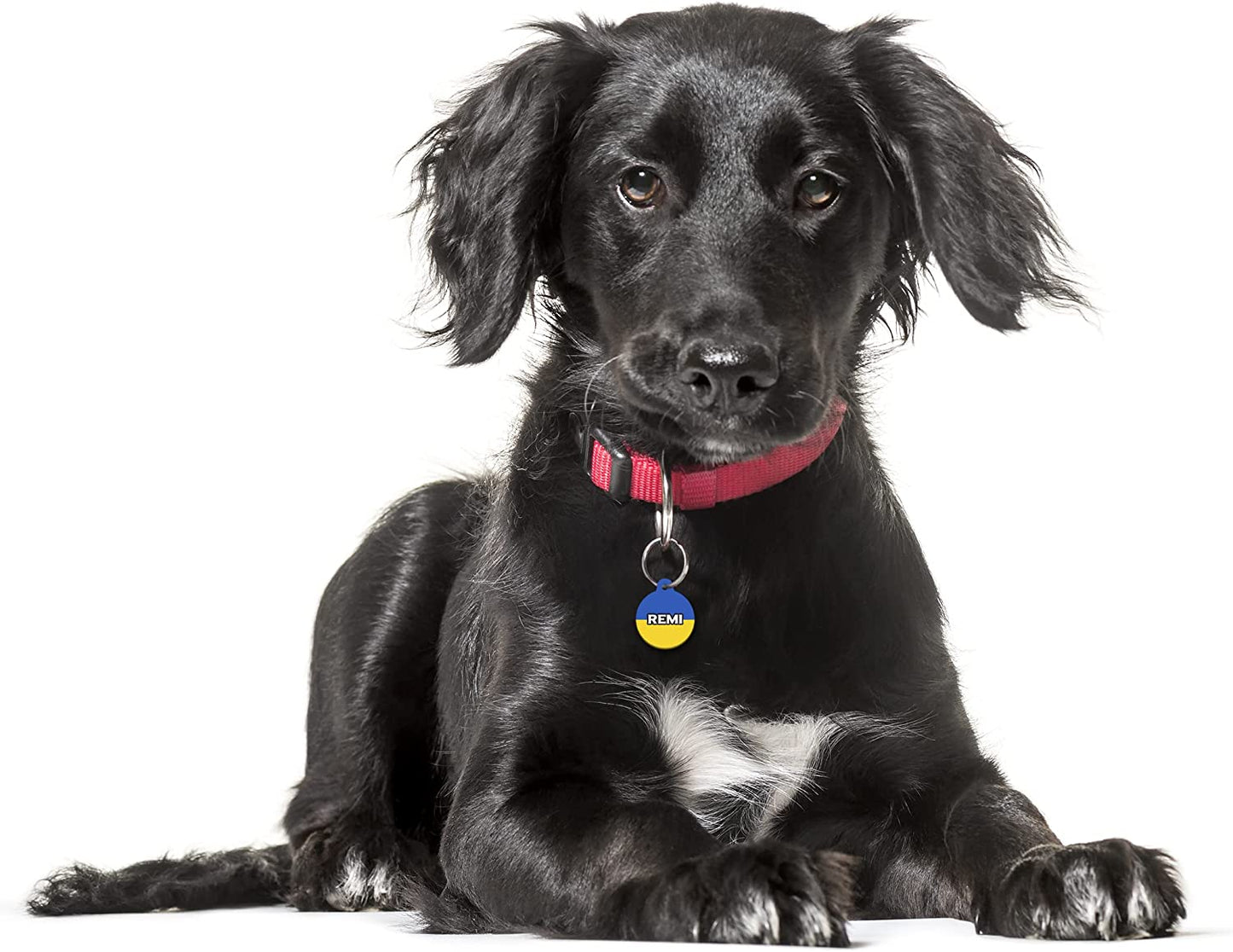 Ukraine Flag - Pet ID Tag