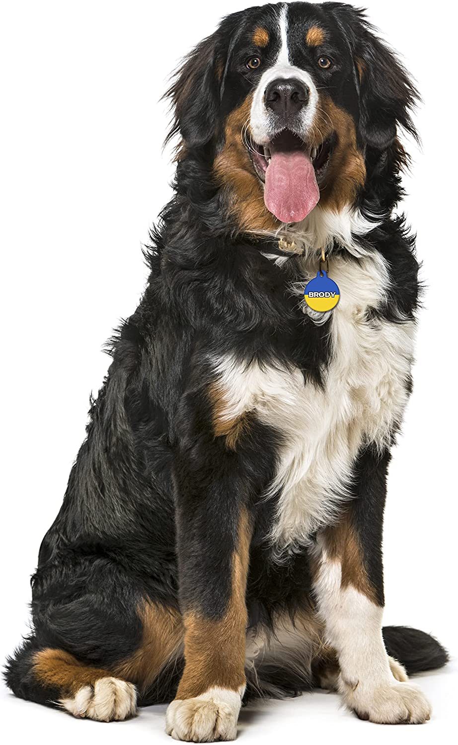 Ukraine Flag - Pet ID Tag