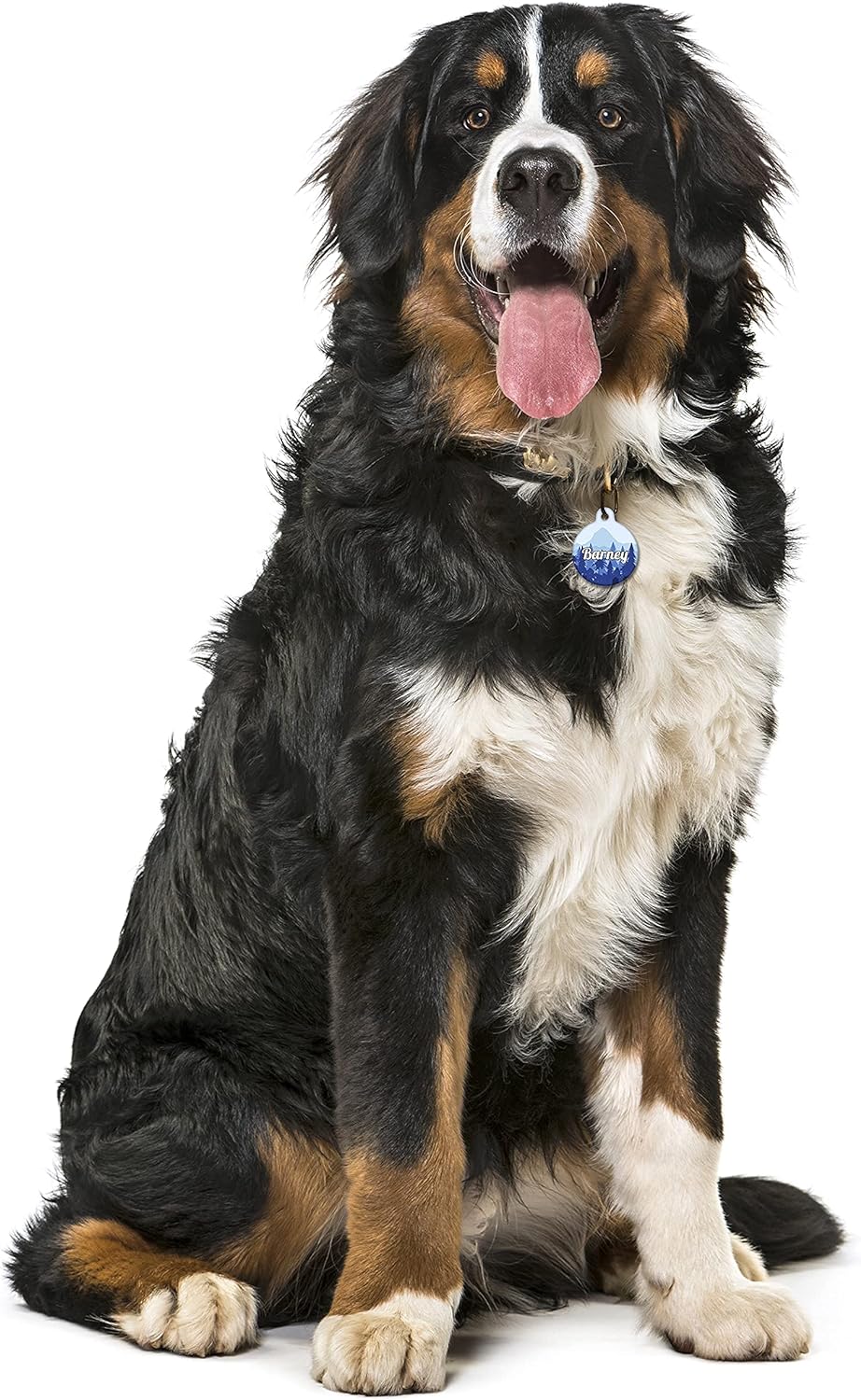 Mountain Blue Fir Forest - Pet ID Tag