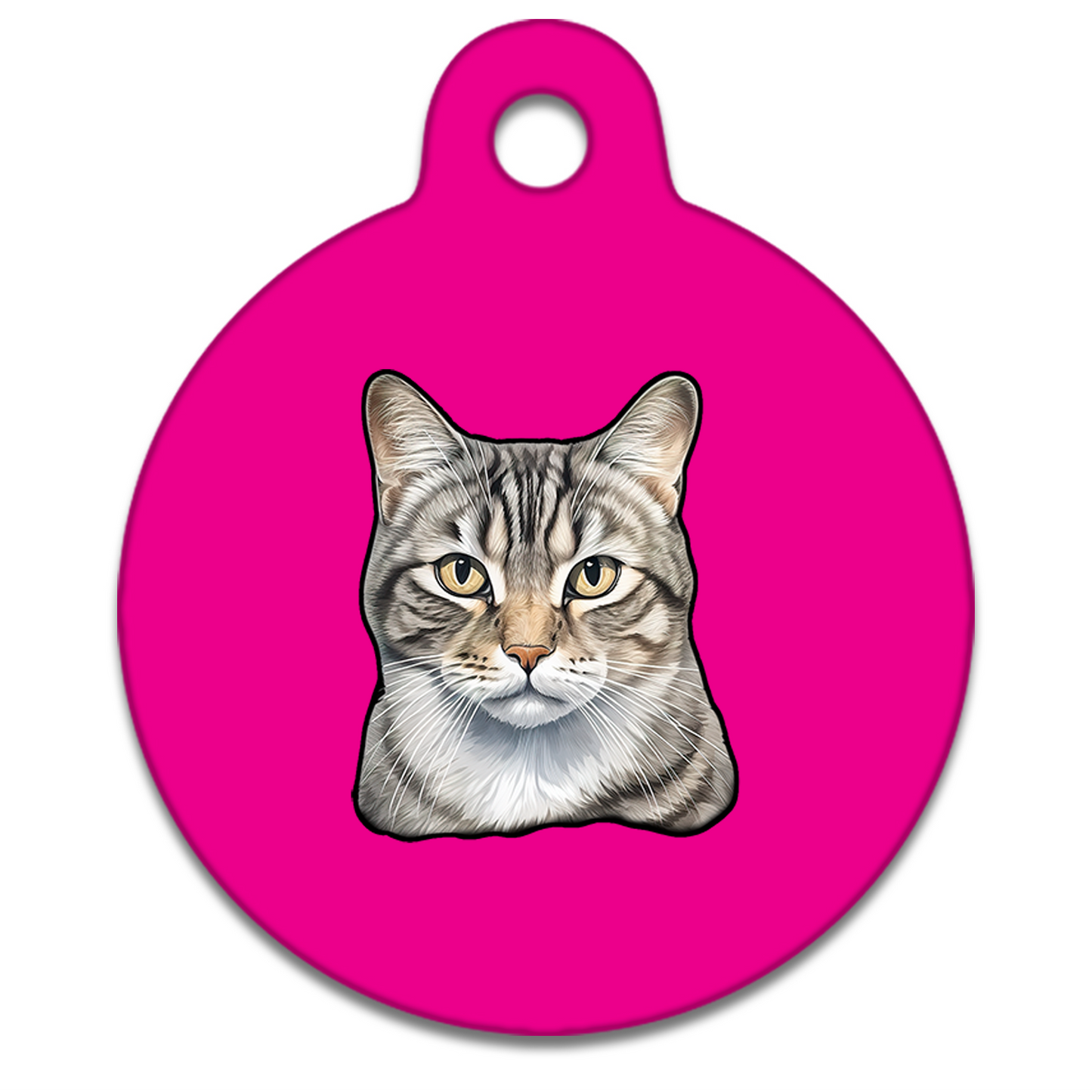 25mm Diameter Small Size - American Wirehair Cat