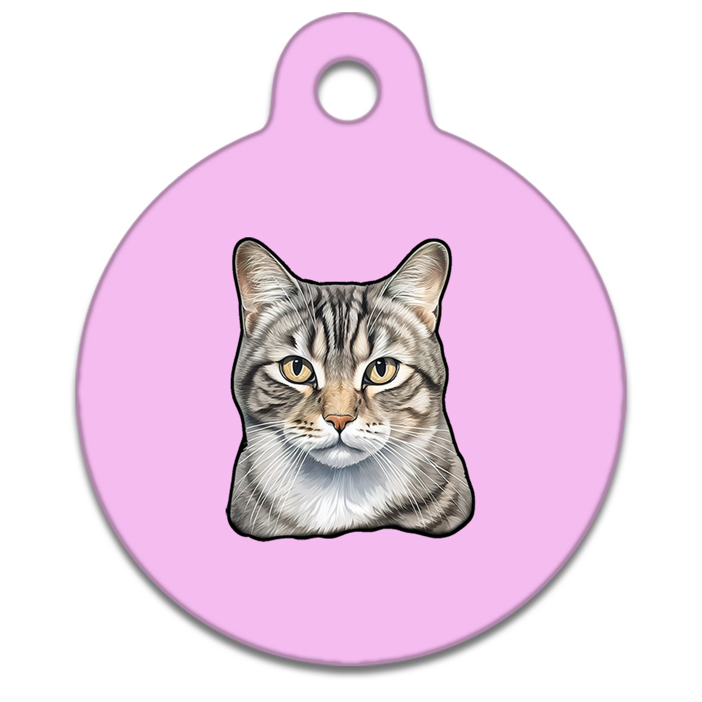 25mm Diameter Small Size - American Wirehair Cat