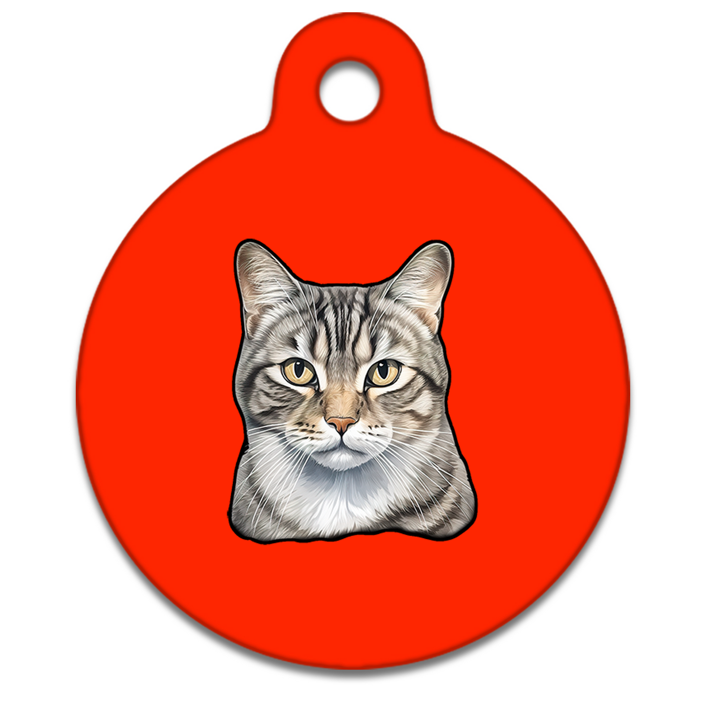 25mm Diameter Small Size - American Wirehair Cat
