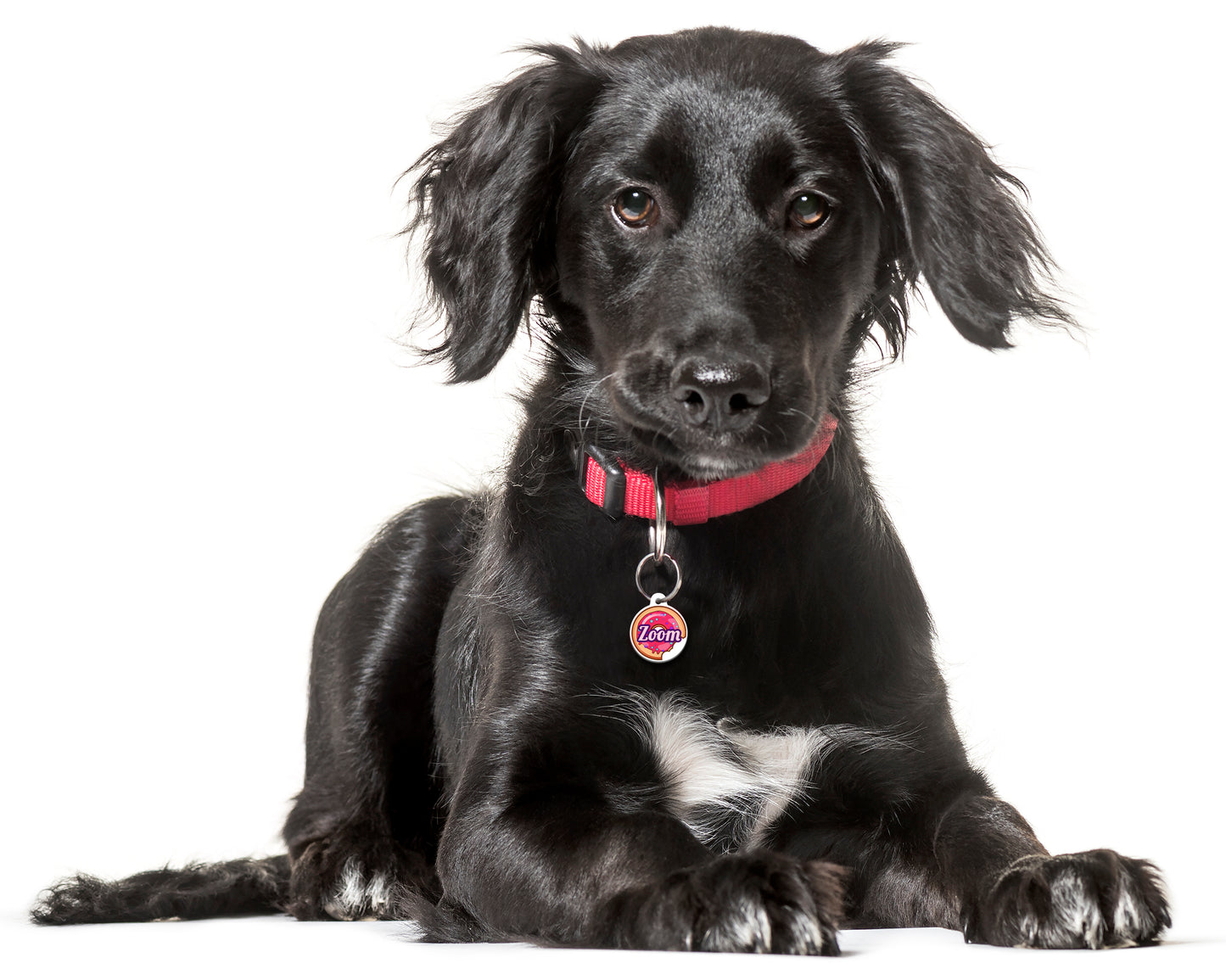 Sprinkles Bite Doughnut - Pet ID Tag