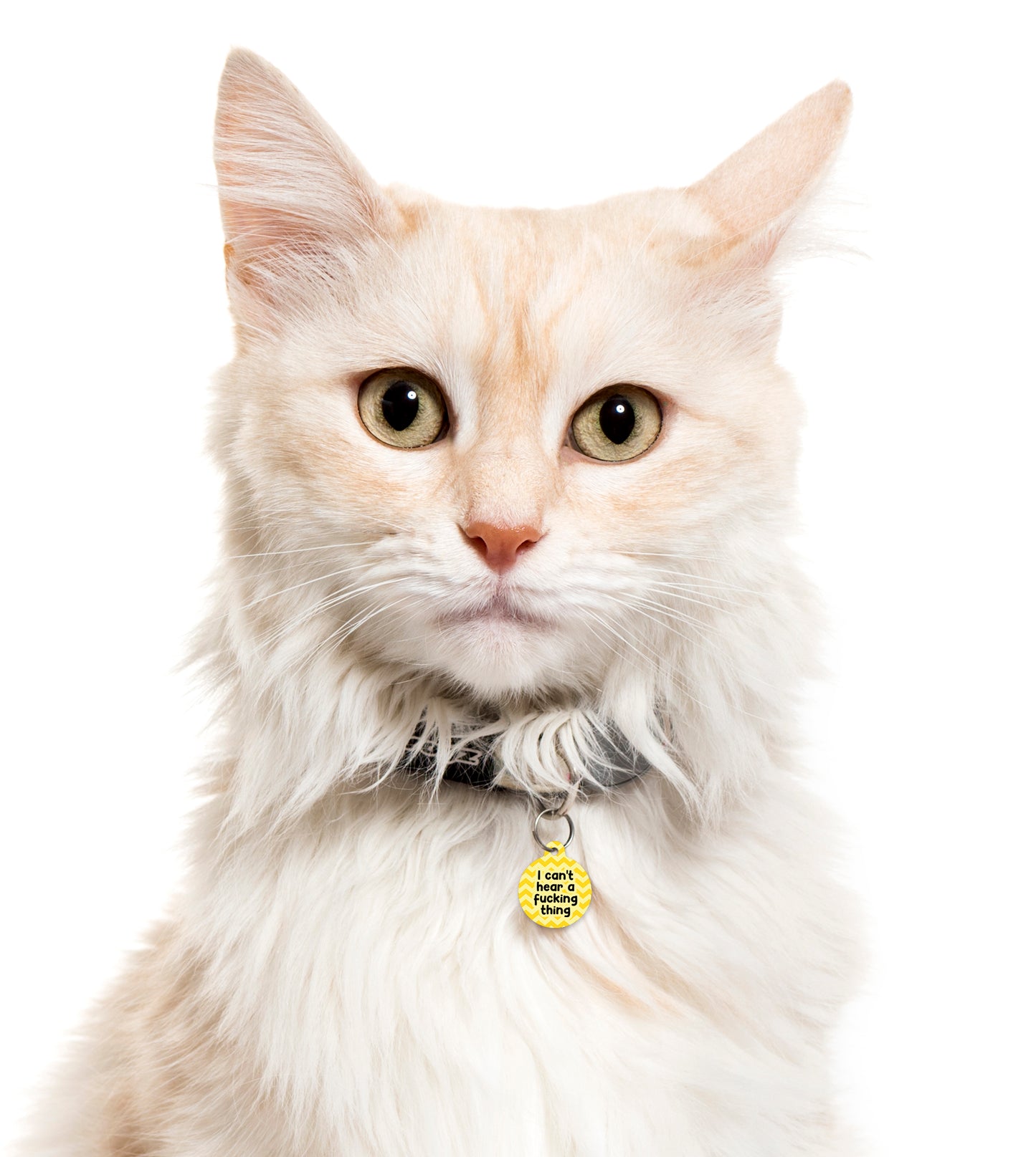 I Can't Hear A Fucking Thing - Pet ID Tag