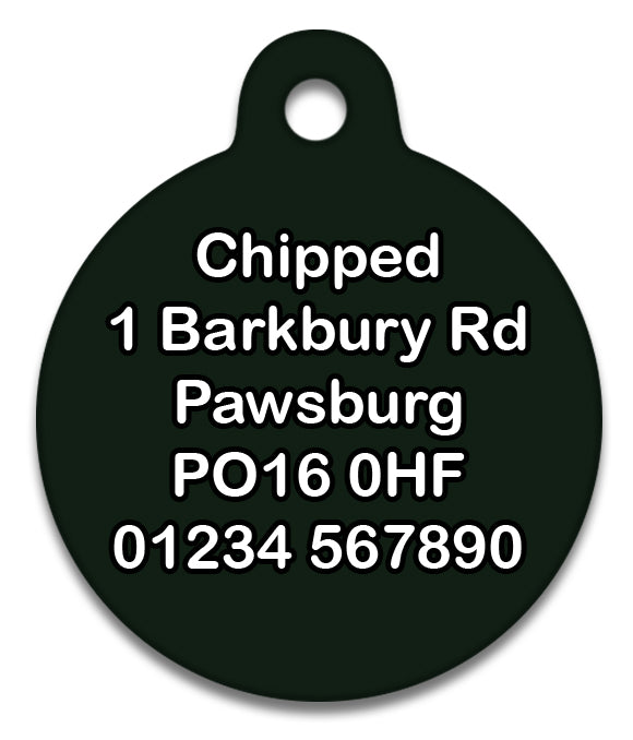 Wizard Spell Green Mist Pet ID Tag