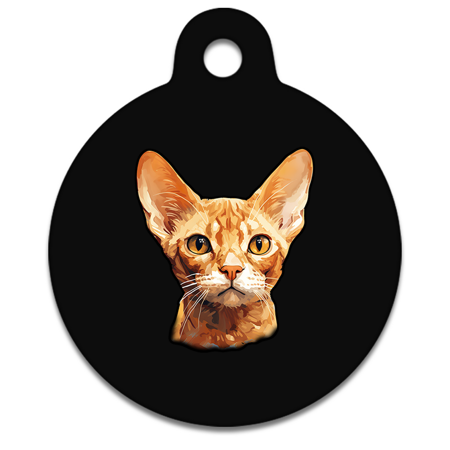 19mm Diameter Tiny Size - Devon Rex