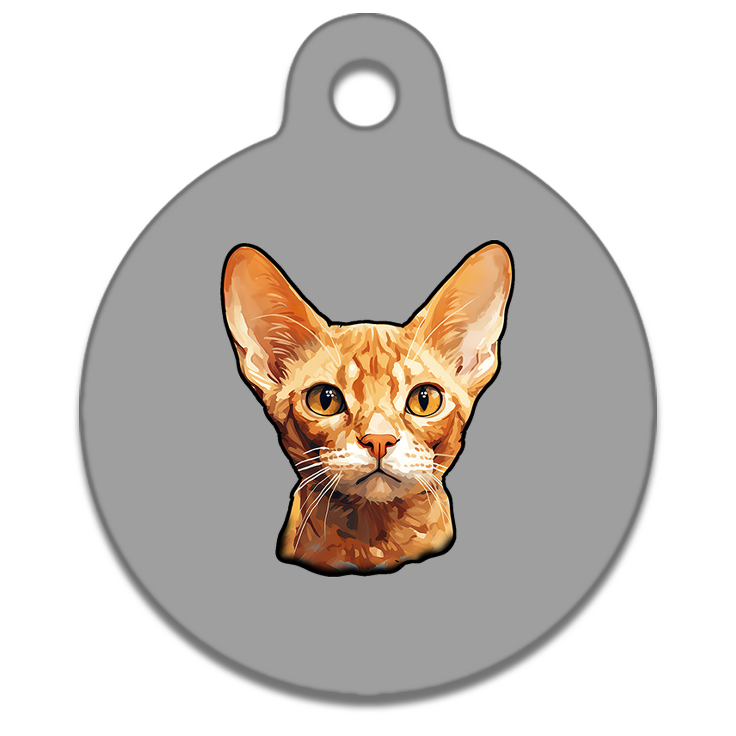 19mm Diameter Tiny Size - Devon Rex