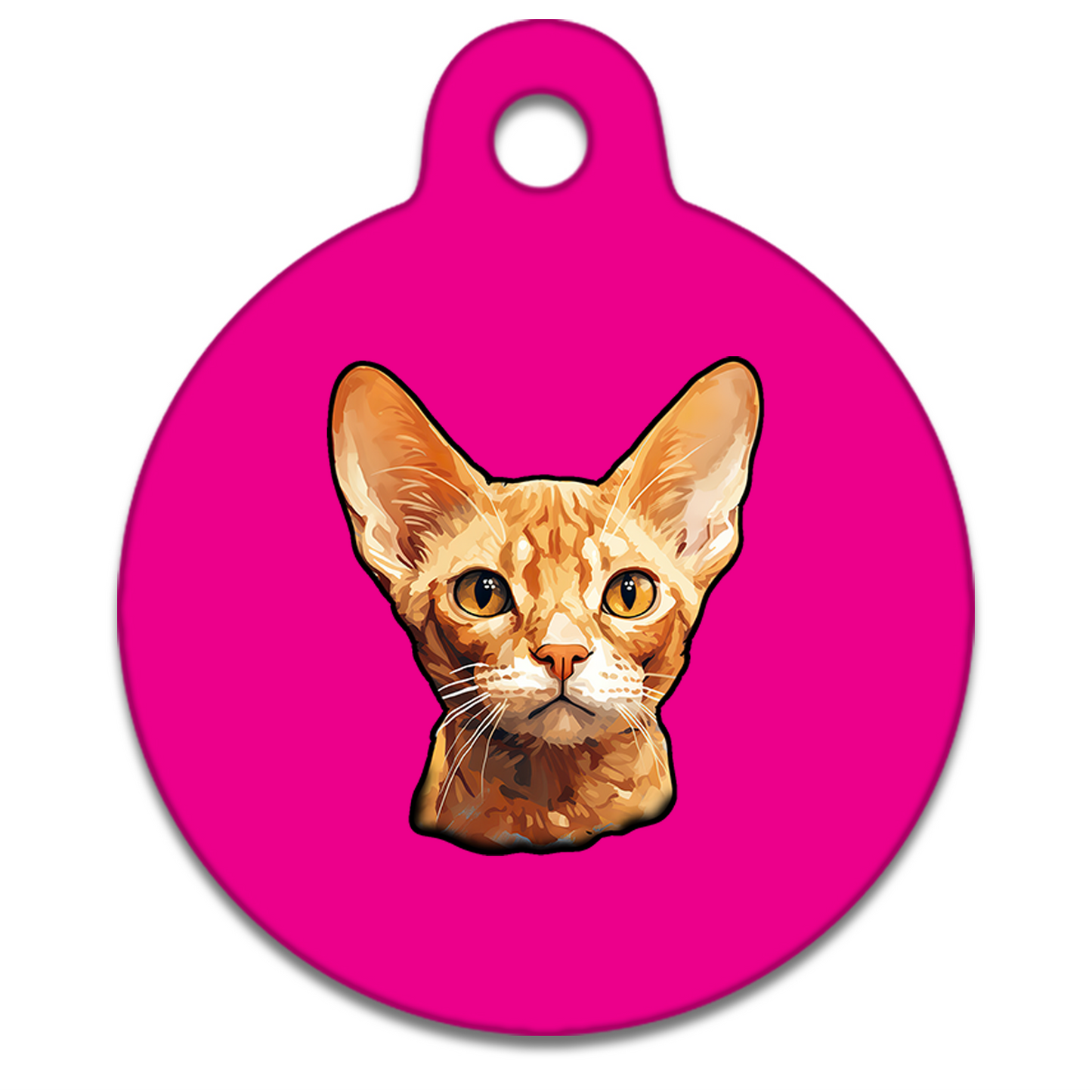 19mm Diameter Tiny Size - Devon Rex