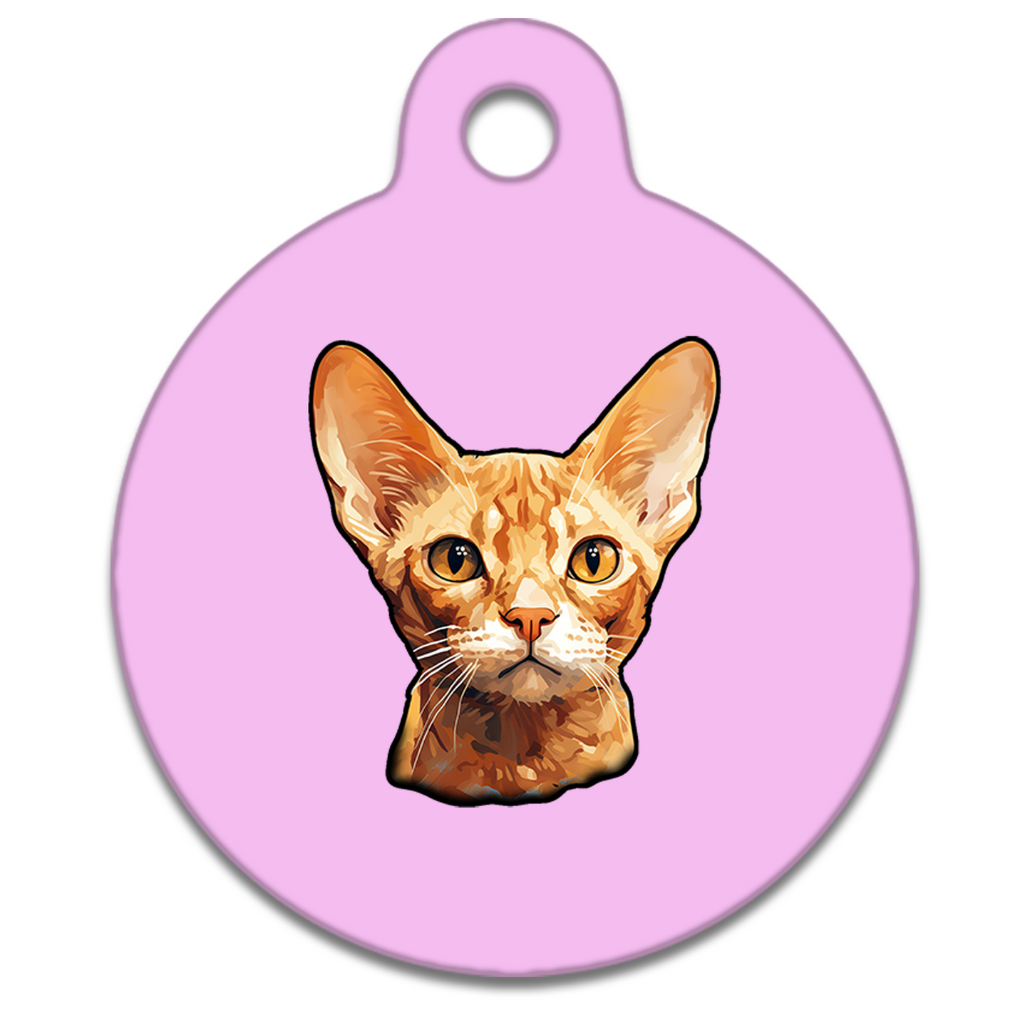 19mm Diameter Tiny Size - Devon Rex