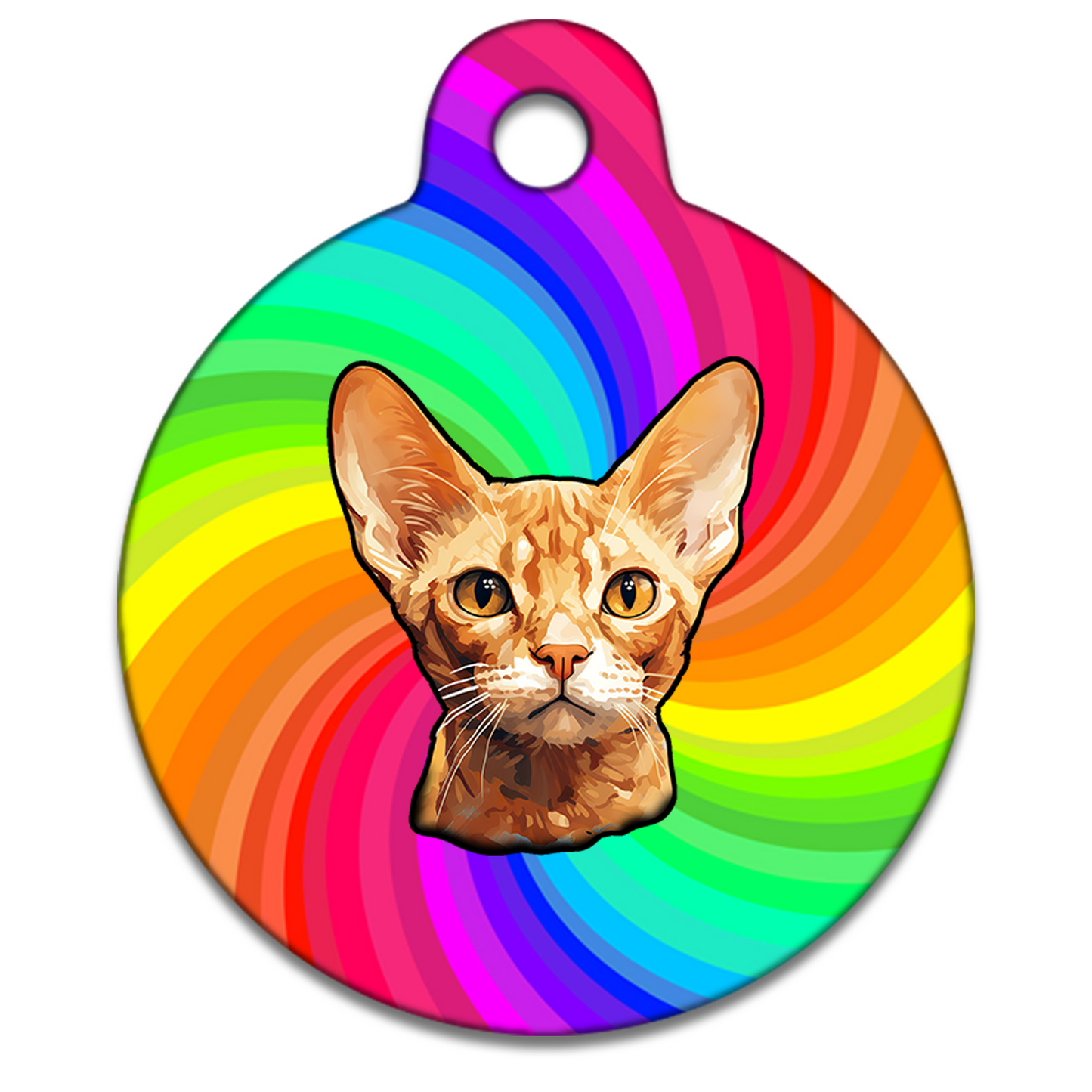19mm Diameter Tiny Size - Devon Rex