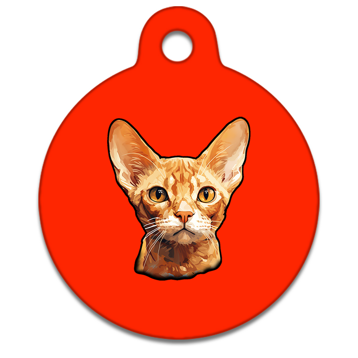 19mm Diameter Tiny Size - Devon Rex