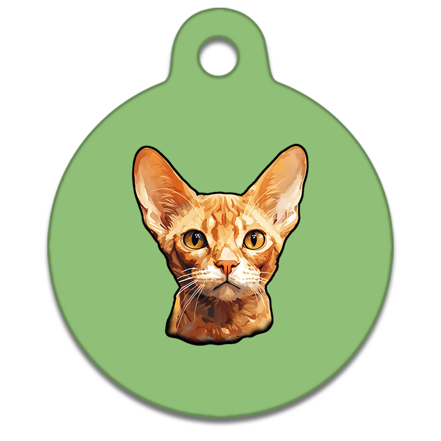 19mm Diameter Tiny Size - Devon Rex