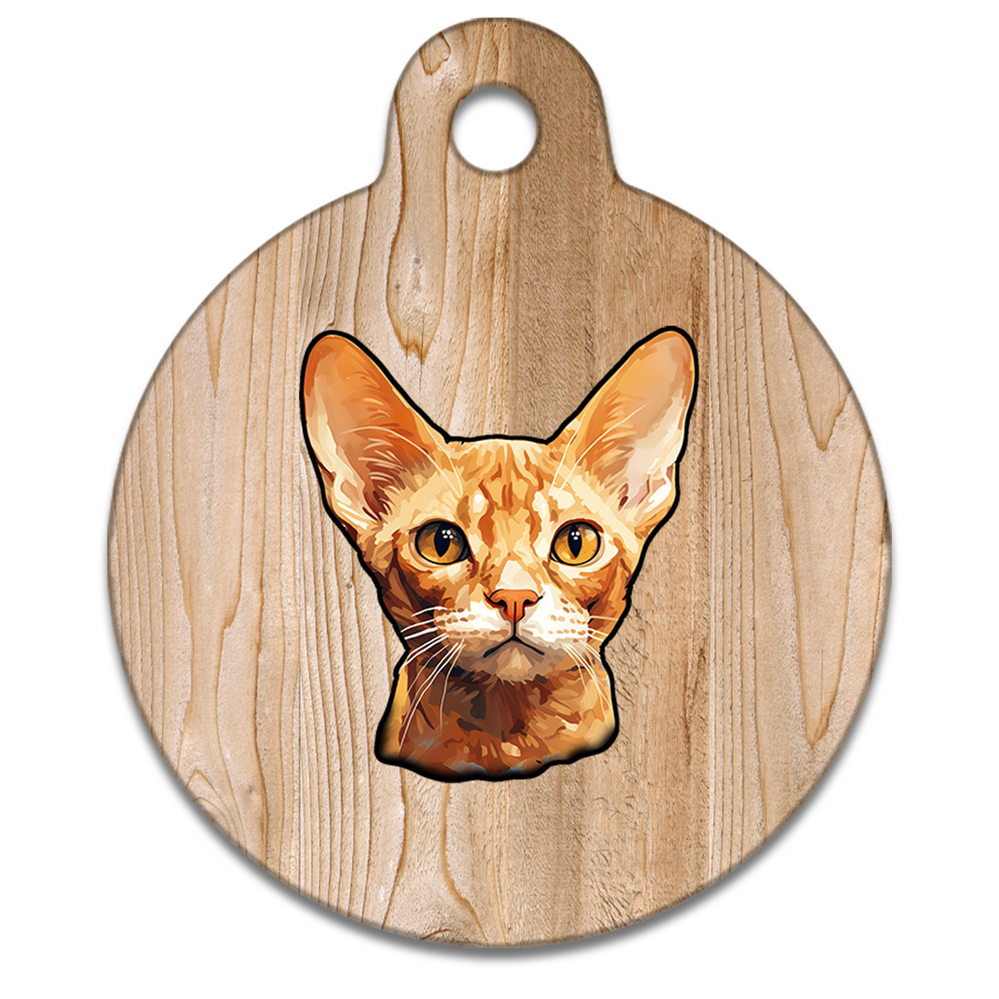 19mm Diameter Tiny Size - Devon Rex