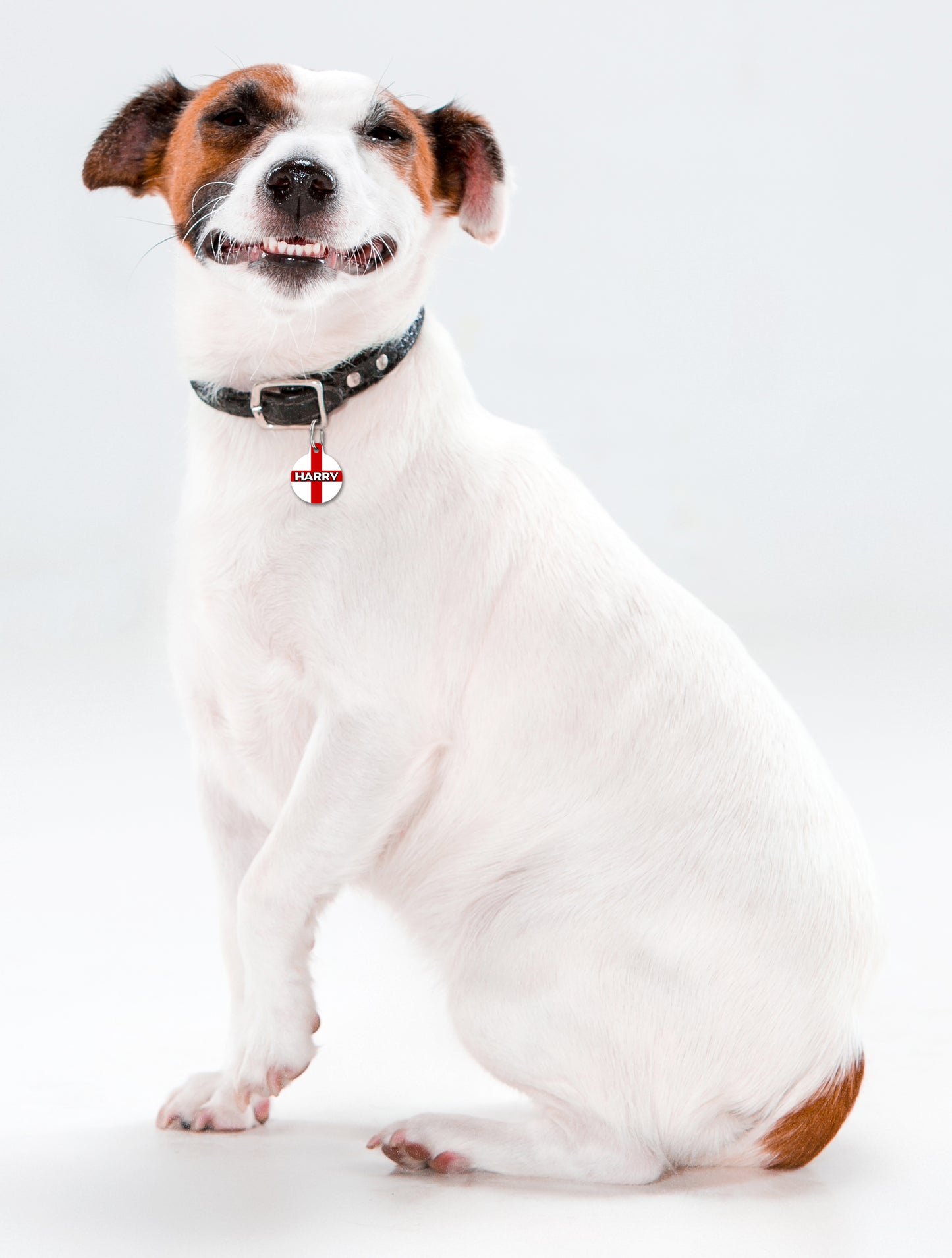 England St George Flag - Pet ID Tag