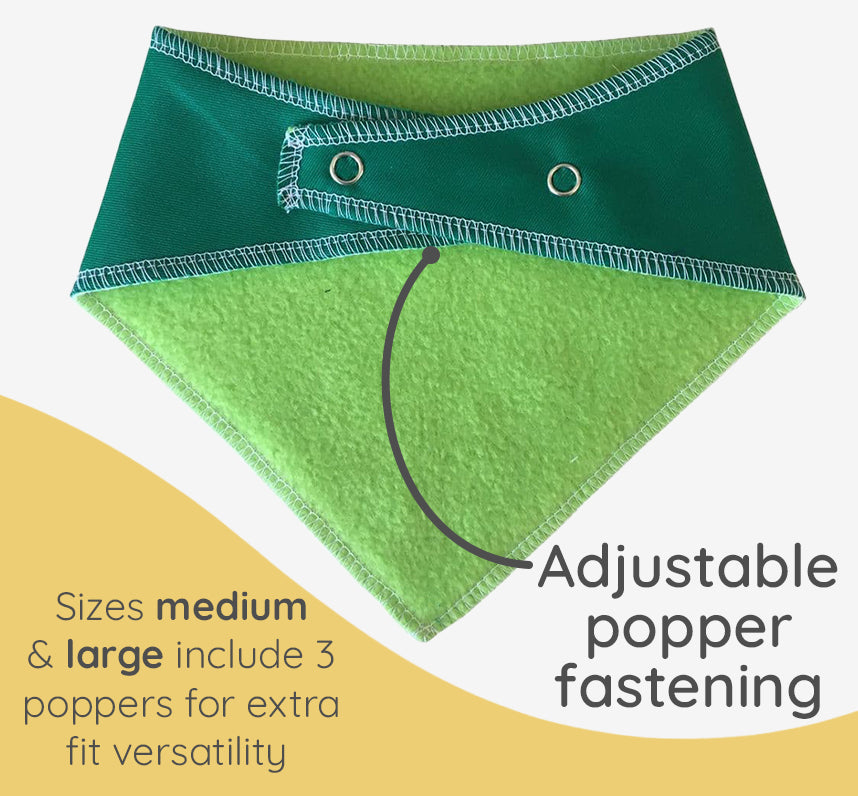 Pawty Time Bunting Dog Bandana