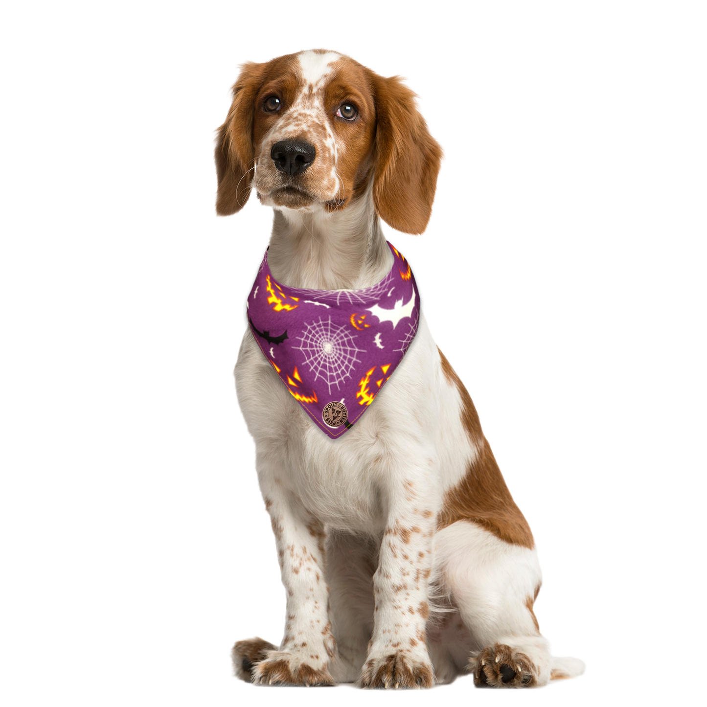 The Pomeroy - Grinning Pumpkins & Webs & Bats Tied Dog Bandana