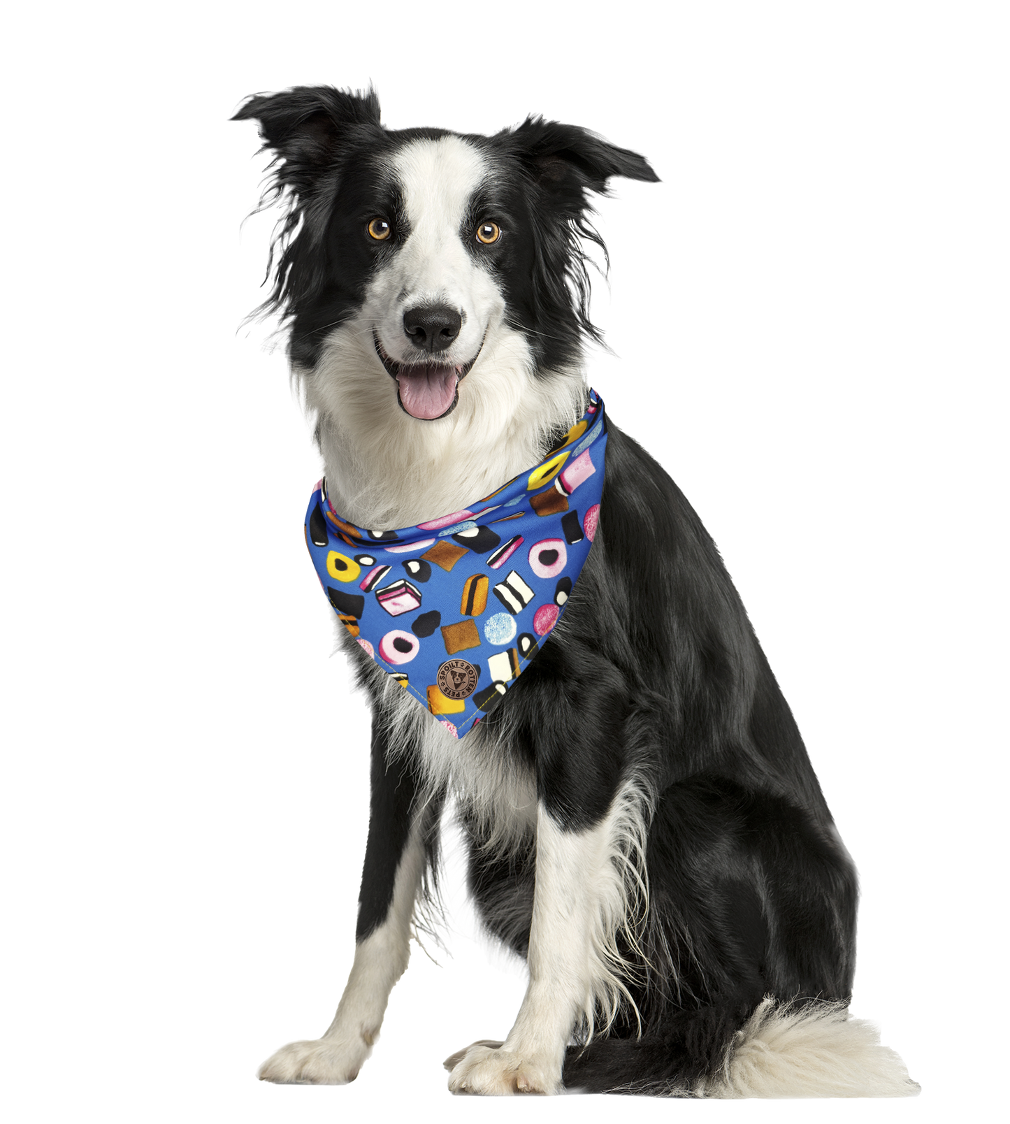 The Scarborough - Liquorice Allsorts Blue Tied Dog Bandana