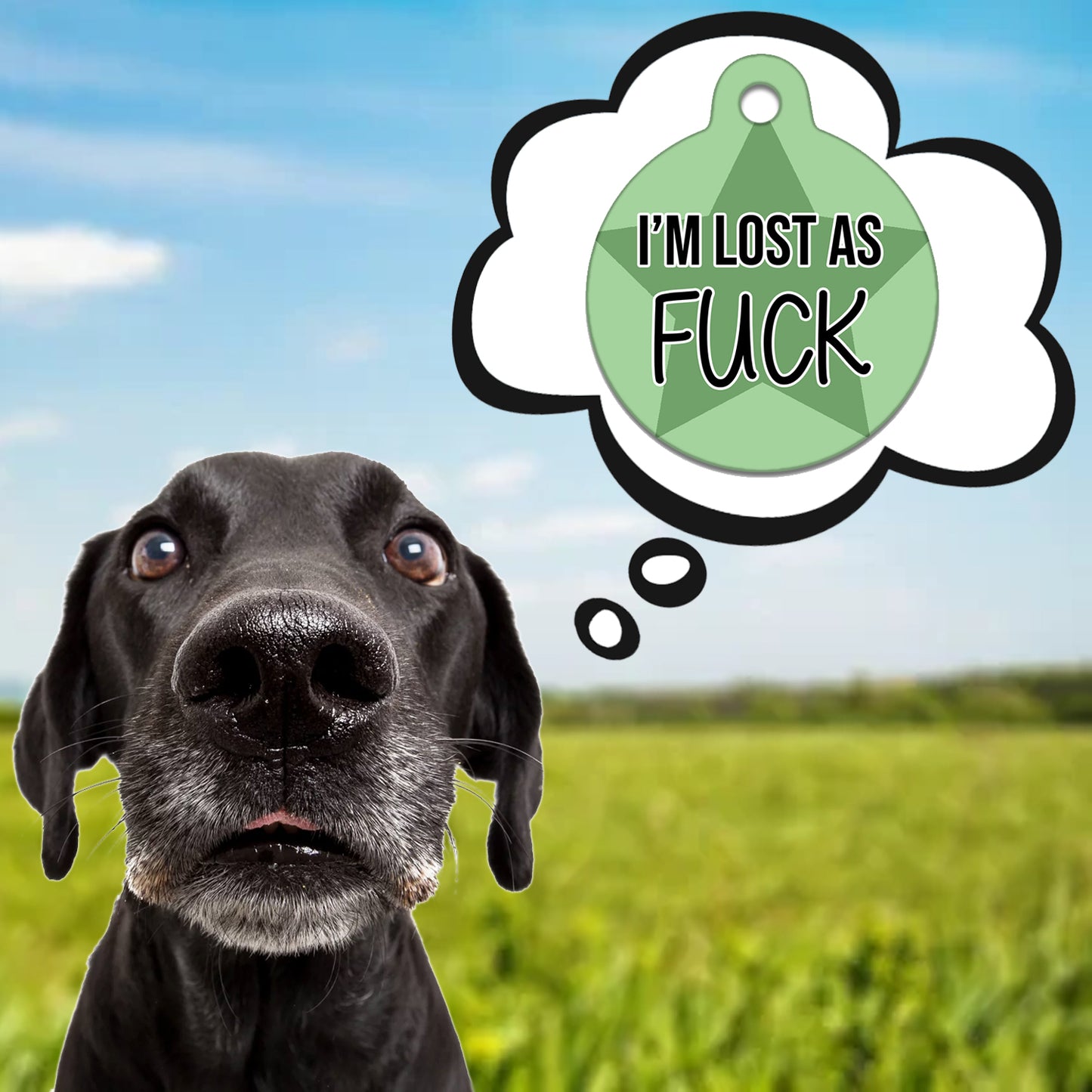 Lost As Fuck Green - Pet ID Tag