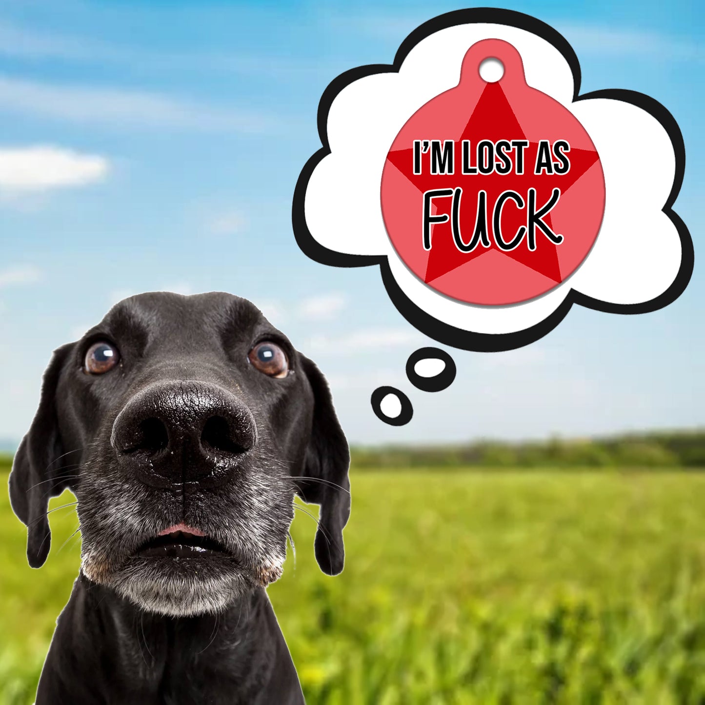 Lost As Fuck Red - Pet ID Tag