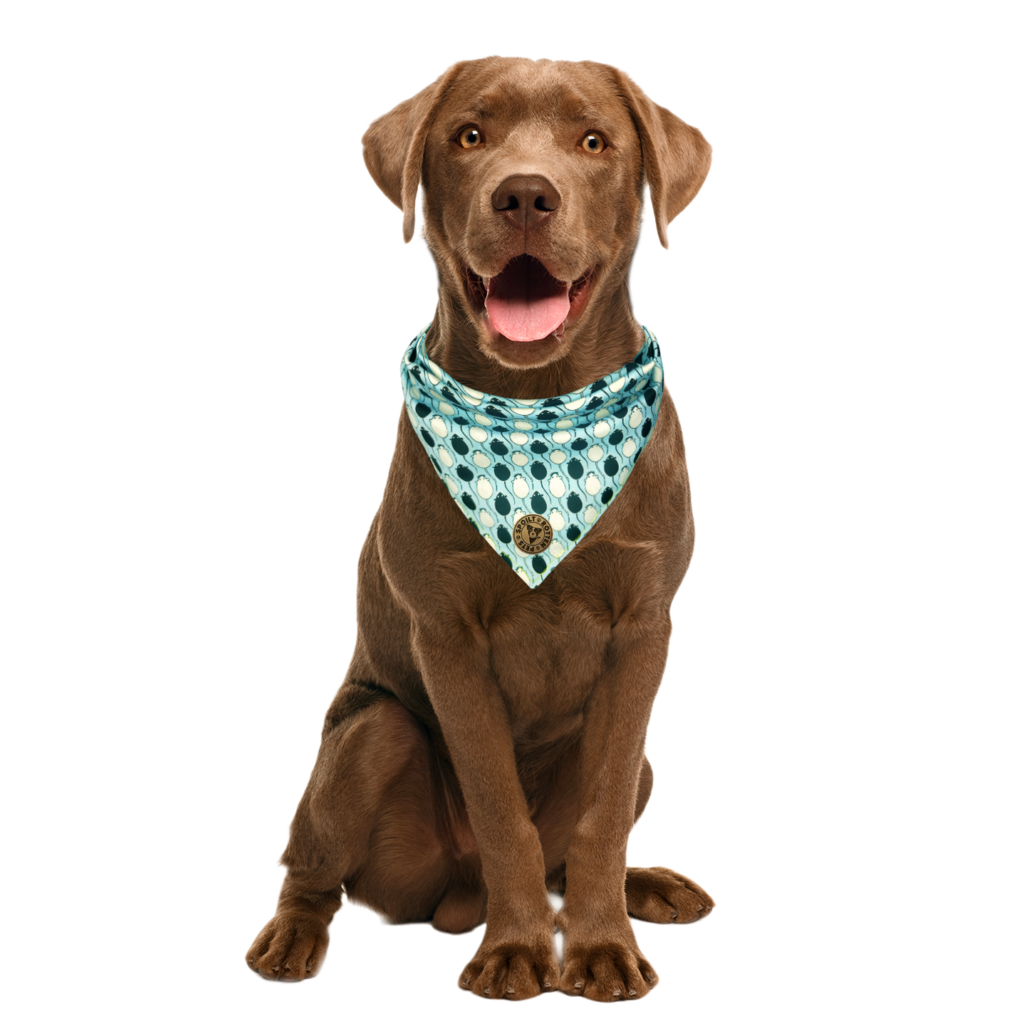 The Salisbury - Mice Blue Tied Dog Bandana