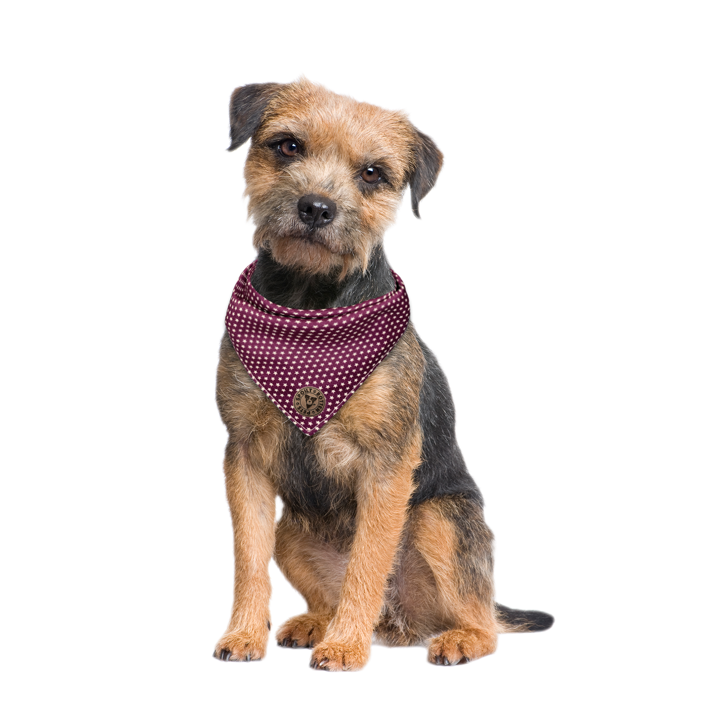The Darlington - Mini Stars on Purple Tied Dog Bandana