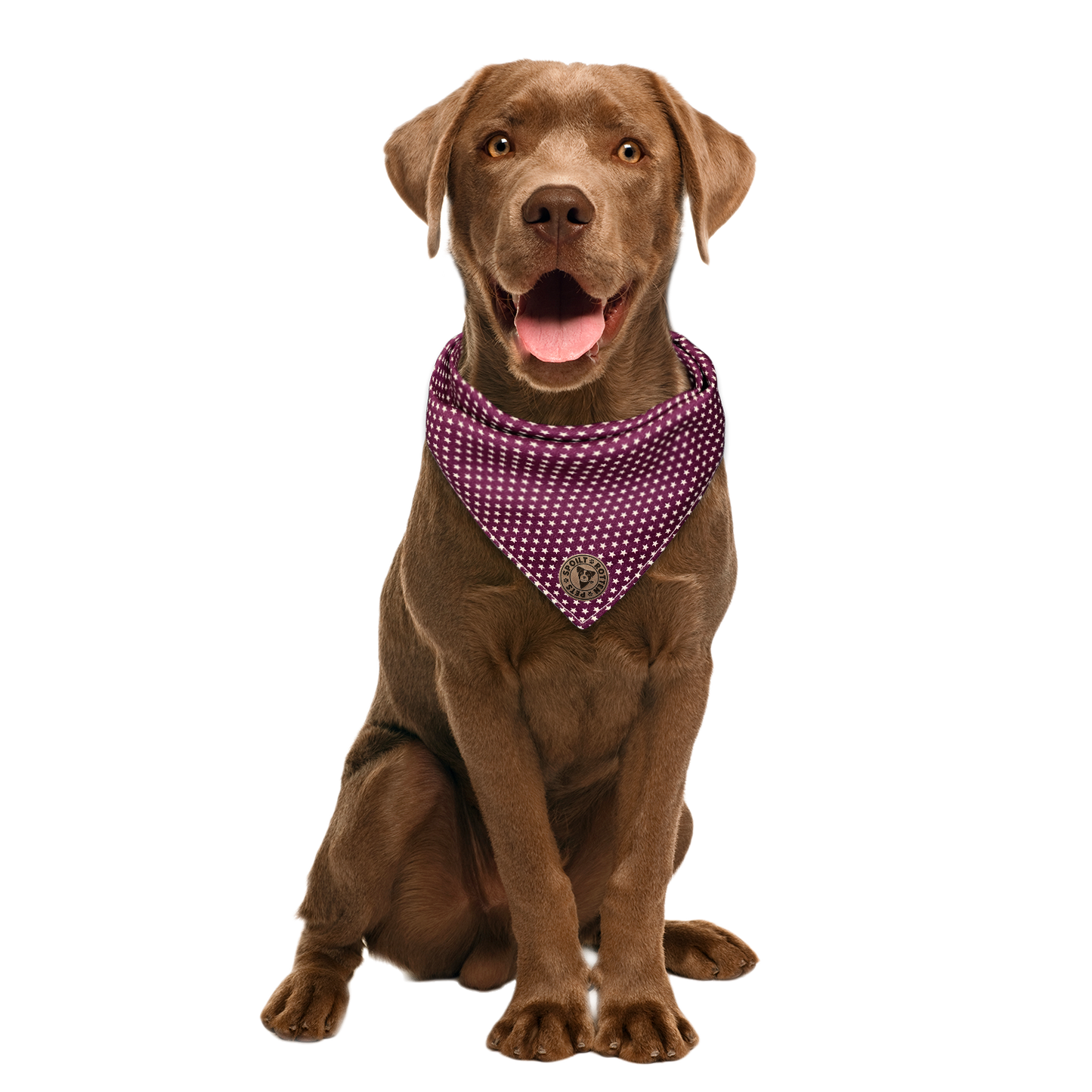 The Darlington - Mini Stars on Purple Tied Dog Bandana