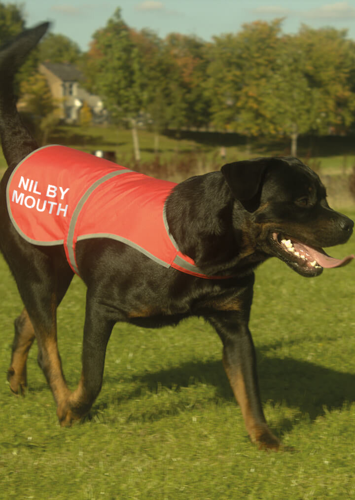 'Nil By Mouth' High Visibility Lightweight Coat