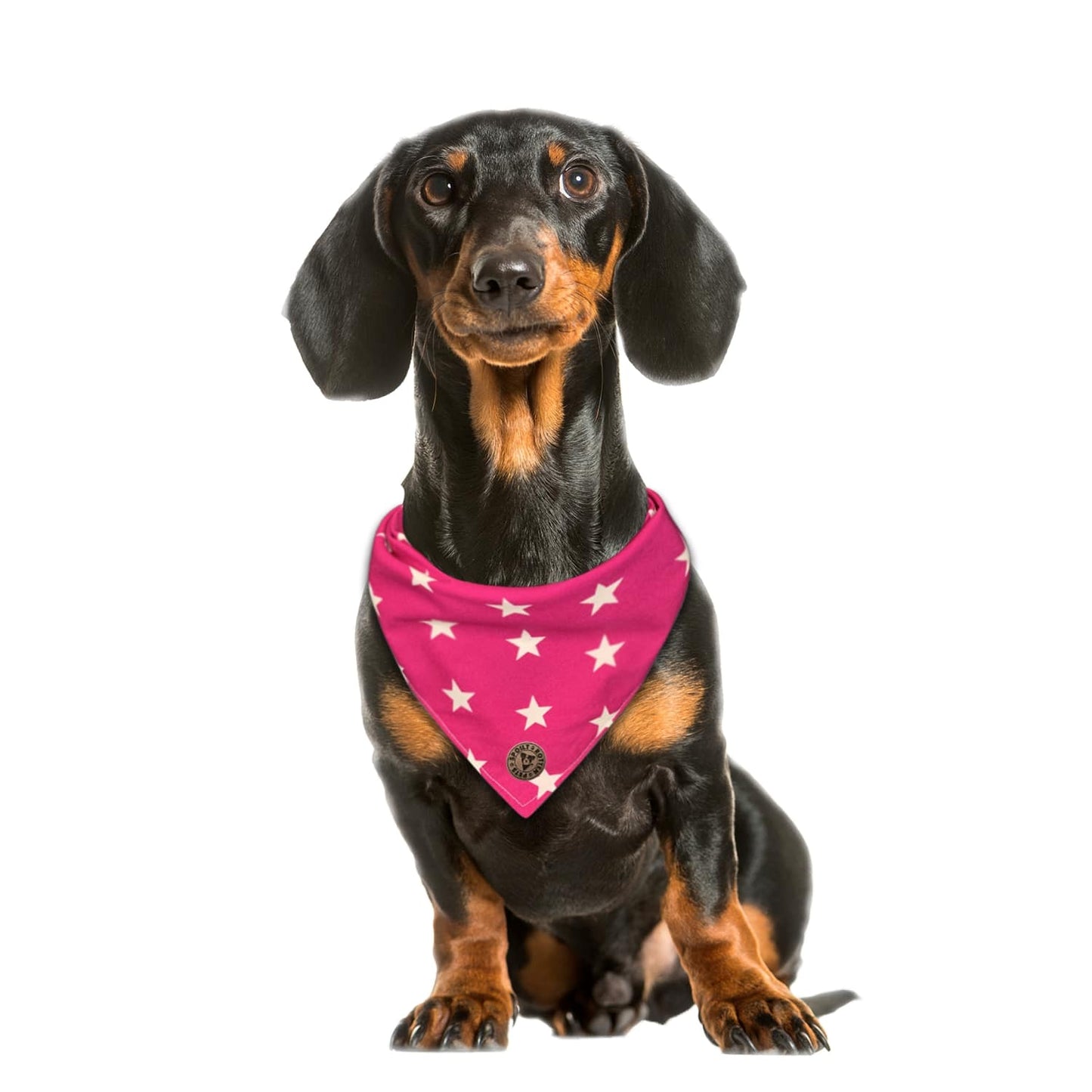 The Padstow - Large Star on Pink Tied Dog Bandana