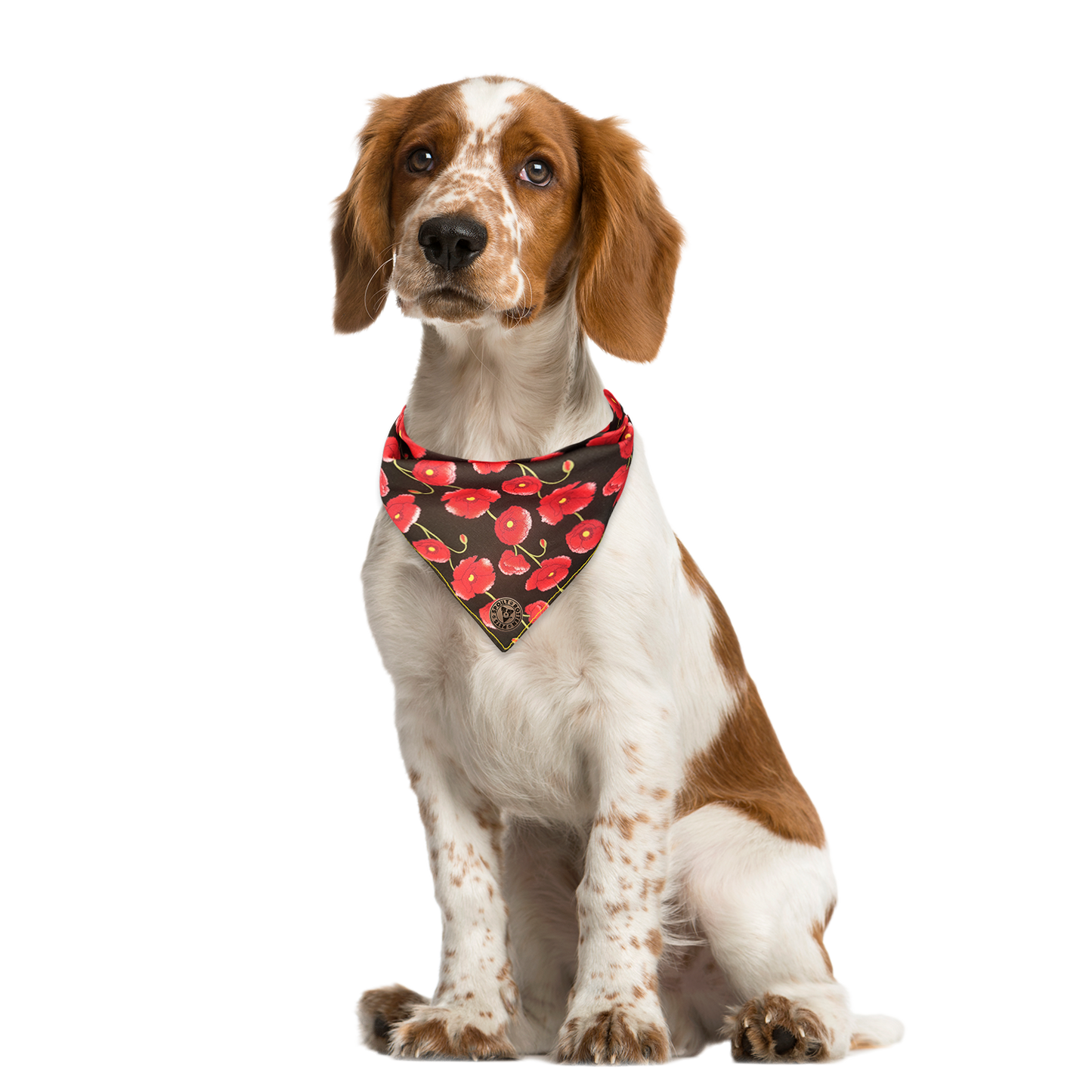 The Gloucester - Poppy Trails Tied Dog Bandana
