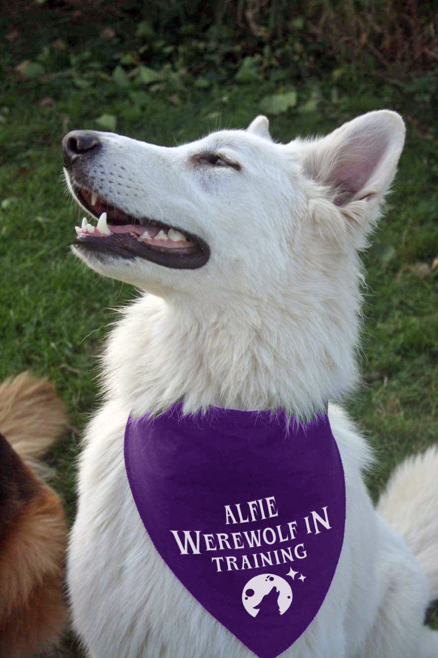 Werewolf In Training Purple Personalised Dog Bandana