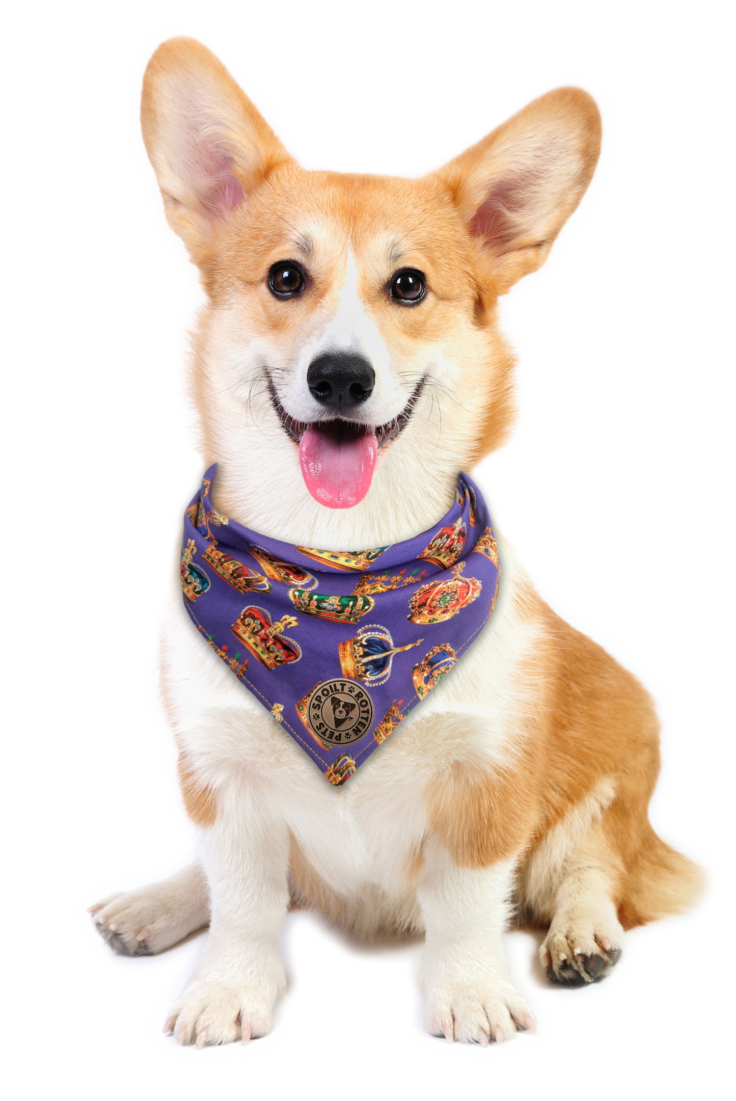 The Warwick - Royal Crown Tied Dog Bandana