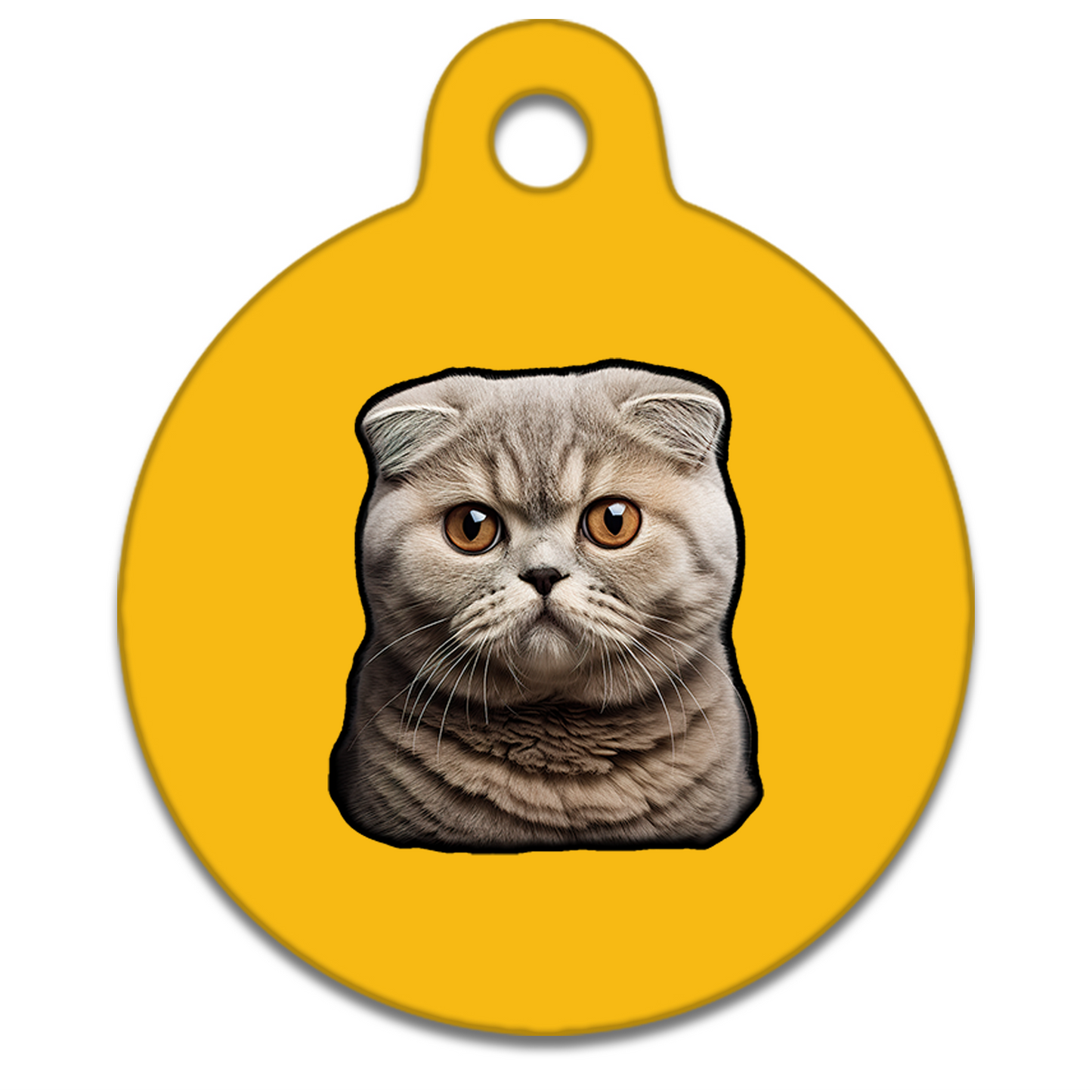 25mm Diameter Tiny Size - Scottish Fold