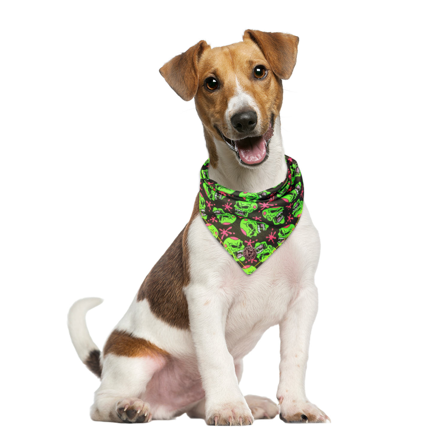 The Hampton - Green Zombie Skulls Tied Dog Bandana