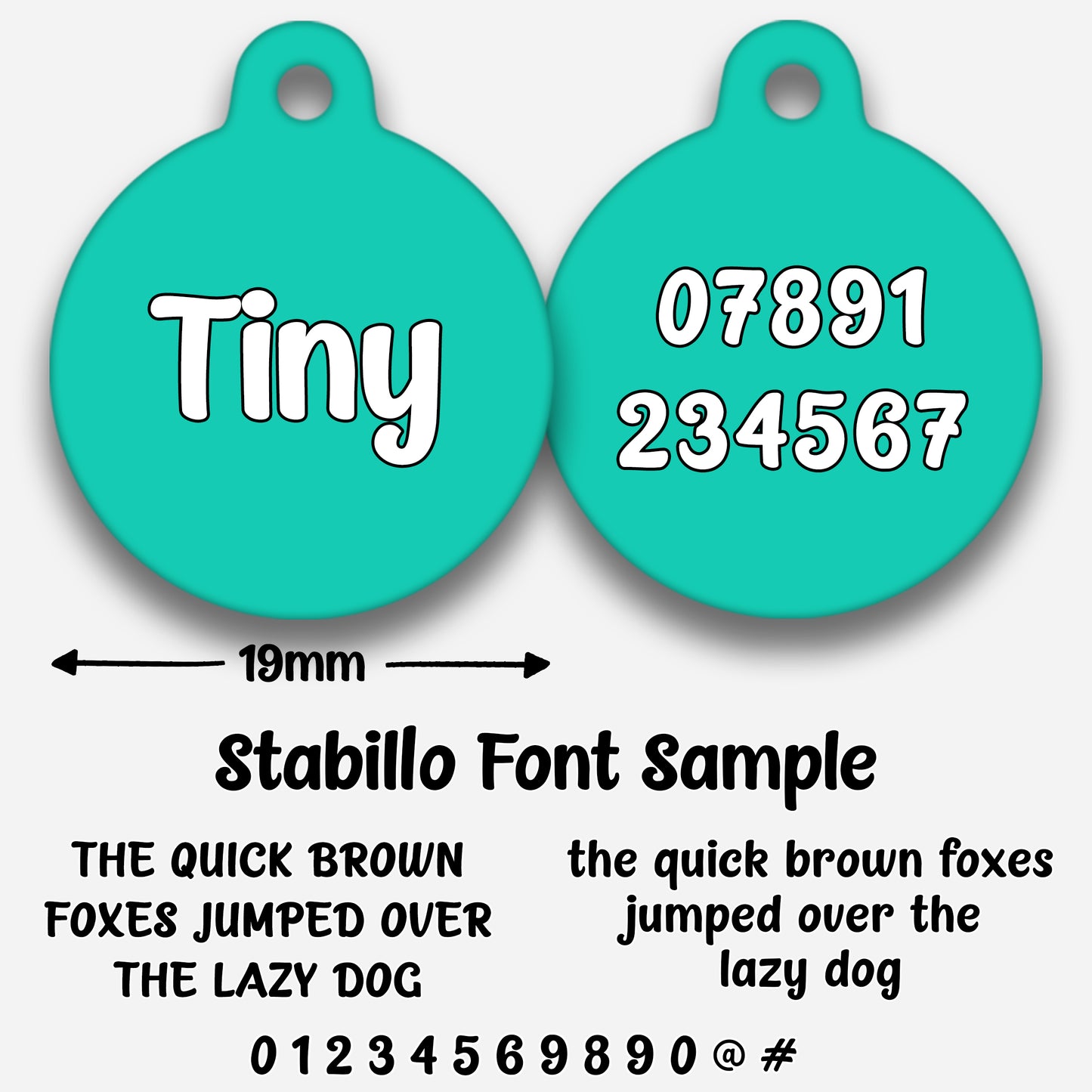 Turquoise - Pet ID Tag
