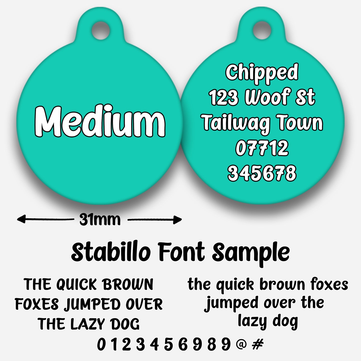 Turquoise - Pet ID Tag