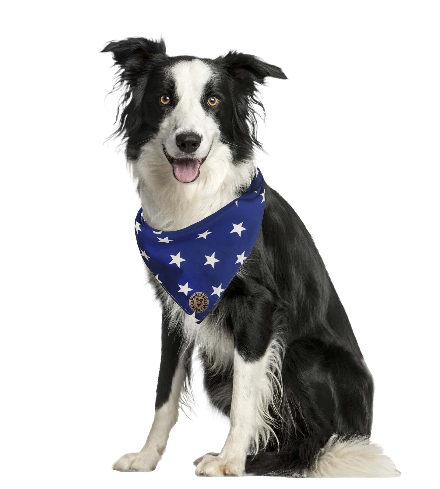 The Portsmouth - Large Stars Royal Blue Tied Dog Bandana