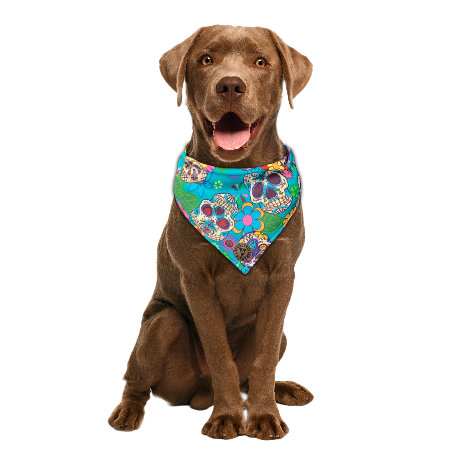 The York - Blue Sugar Skulls Dog Bandana