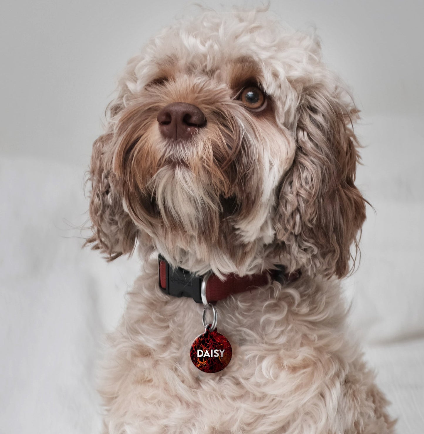 Resin Wood - Pet ID Tag