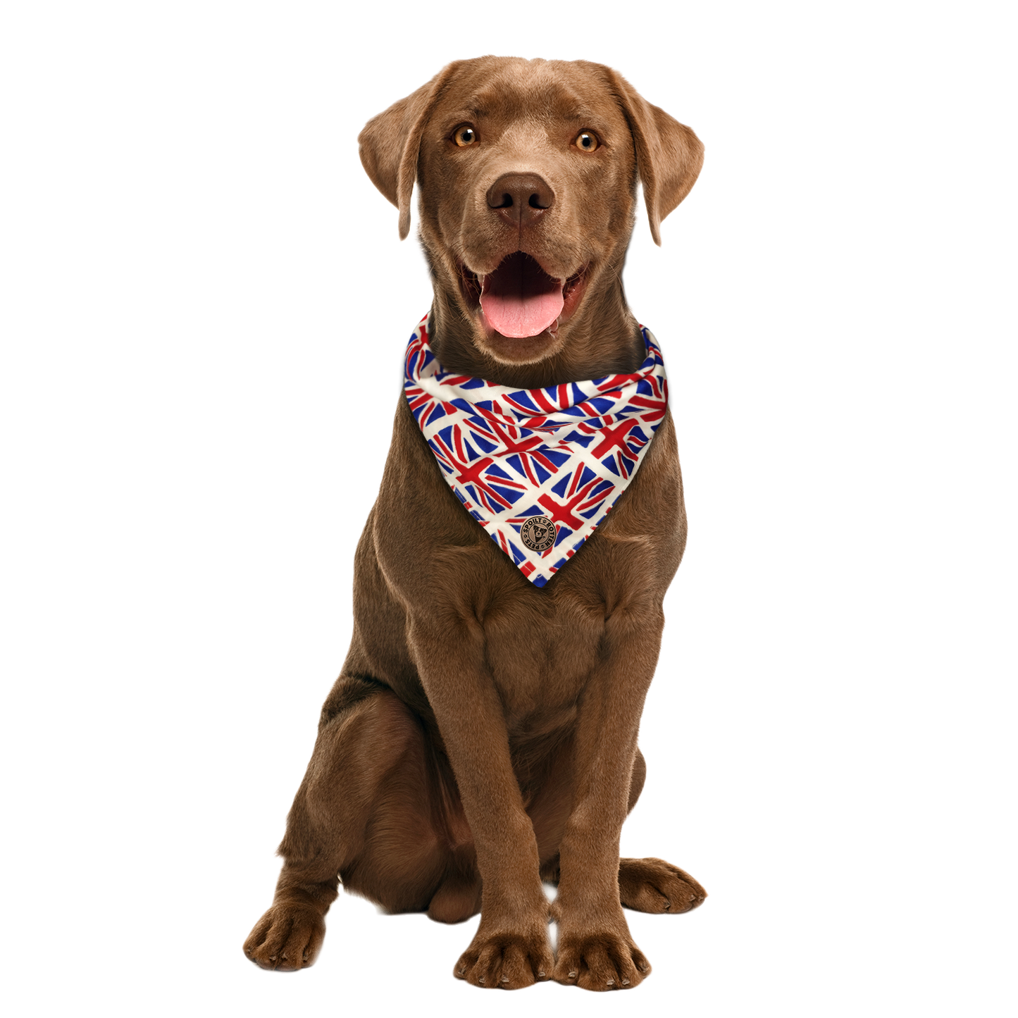The London - Union Jack Tied Dog Bandana