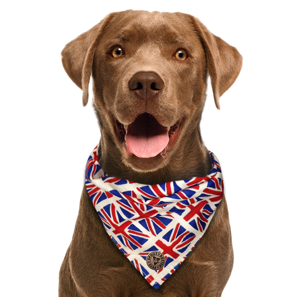 The London - Union Jack Tied Dog Bandana