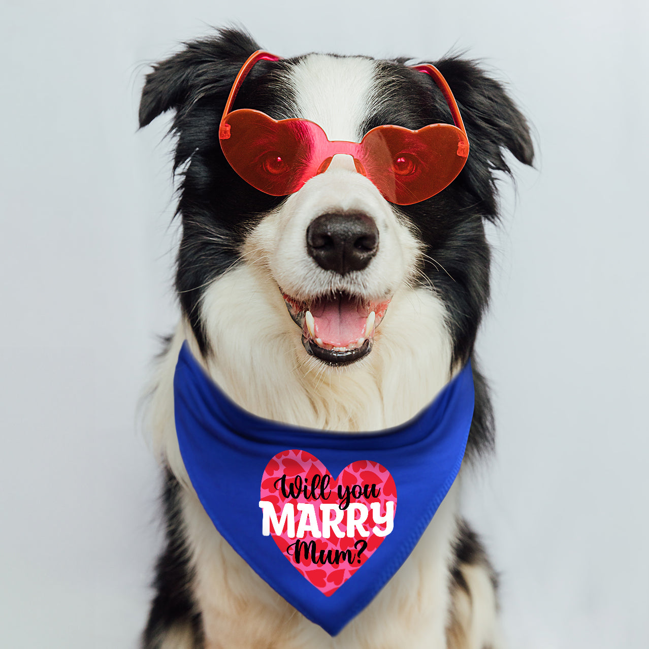 Will You Marry Mum Heart Dog Bandana