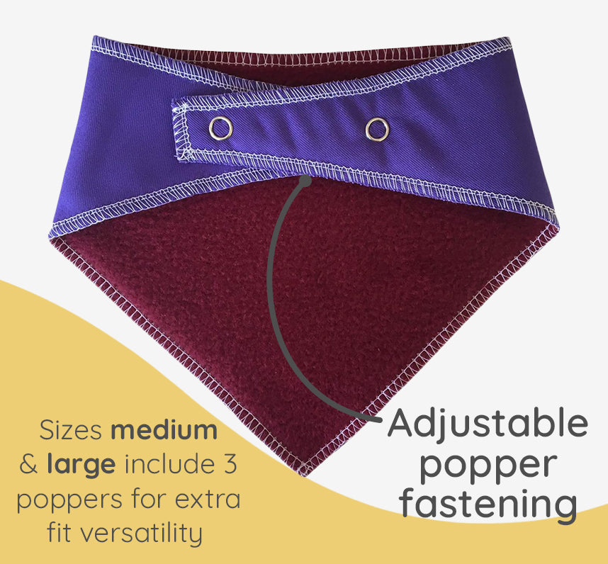 To Infinity And Beyond Dog Bandana