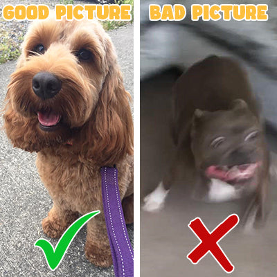 Doctor Custom Pet Portrait Mug - Add Your Own Photo