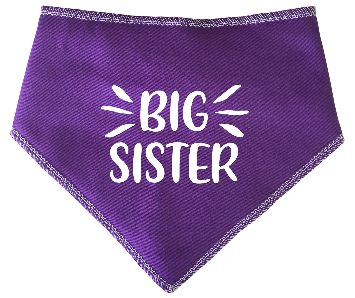 Big Sister Highlights Dog Bandana