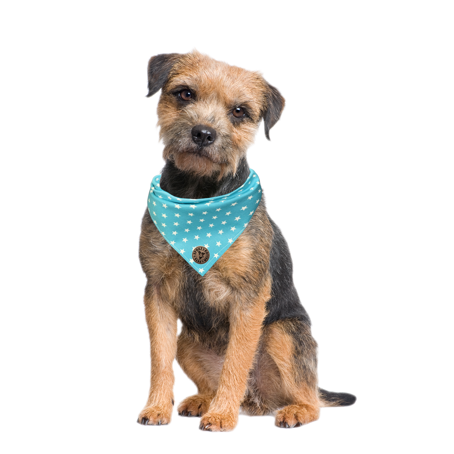 The St Ives - Tiny Star Turquoise Tied Dog Bandana