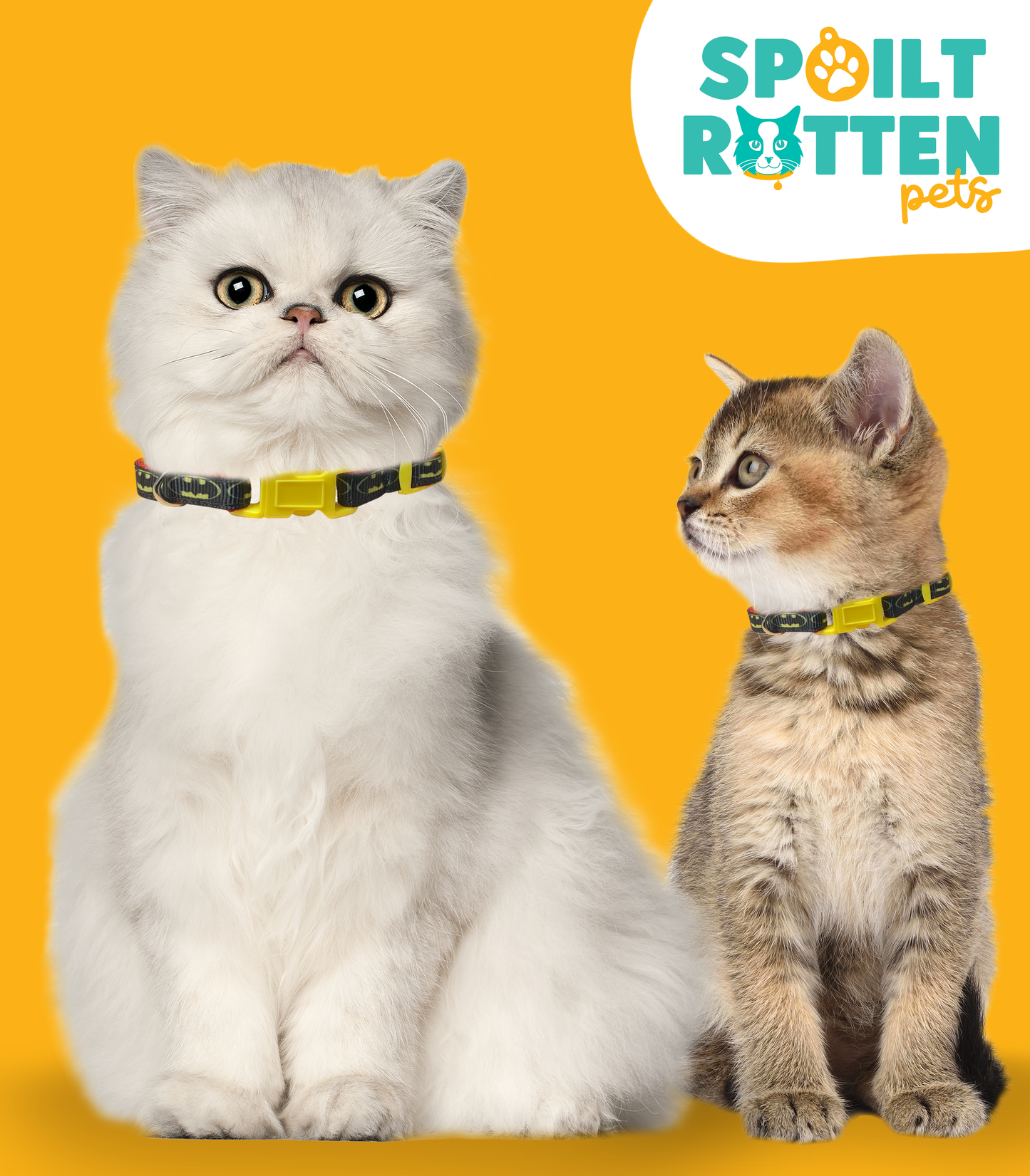 Flamboyant Batman Cat Collar